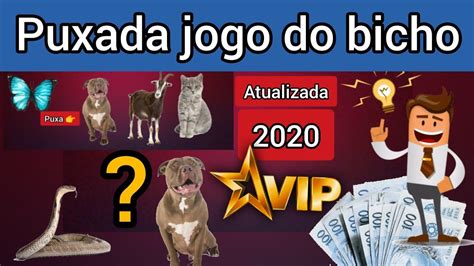 puxada do cavalo jogo do bicho